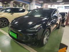 Tesla Model Y Rear-Wheel Drive - ფოტო 2