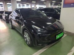Tesla Model Y Rear-Wheel Drive - ფოტო 4