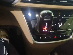 Buick GL8 ES Land Respect 653T Respect Enjoyment Edition - ფოტო 14