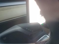 Tesla Model Y Facelift Rear-Wheel Drive - ფოტო 14