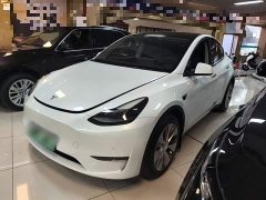 Tesla Model Y 2021 Standard Range RWD - ფოტო 1