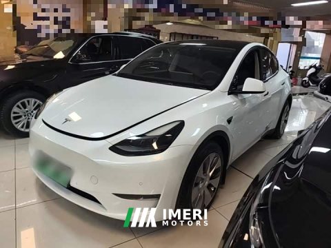 2022 Tesla Model Y 2021 Standard Range RWD - ავტომობილი ჩინეთიდან