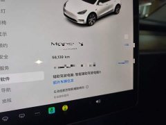 Tesla Model Y 2021 Standard Range RWD - ფოტო 12