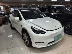 Tesla Model Y 2021 Standard Range RWD - ფოტო 4