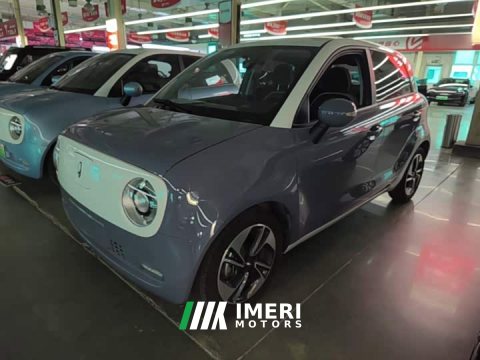 2022 Ora Black Cat 351km Comfort Ternary Lithium - ავტომობილი ჩინეთიდან