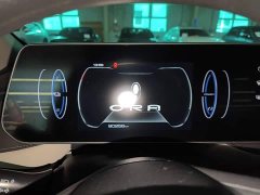 Ora Black Cat 351km Comfort Ternary Lithium - ფოტო 12