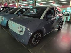 Ora Black Cat 351km Comfort Ternary Lithium - ფოტო 2