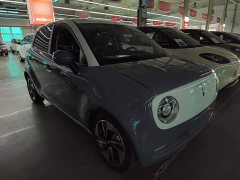 Ora Black Cat 351km Comfort Ternary Lithium - ფოტო 4