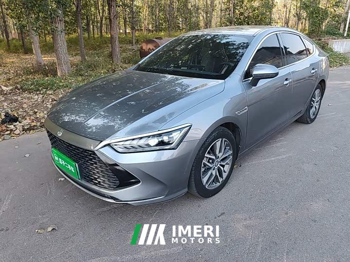BYD Qin Plus DM-i 55KM Flagship