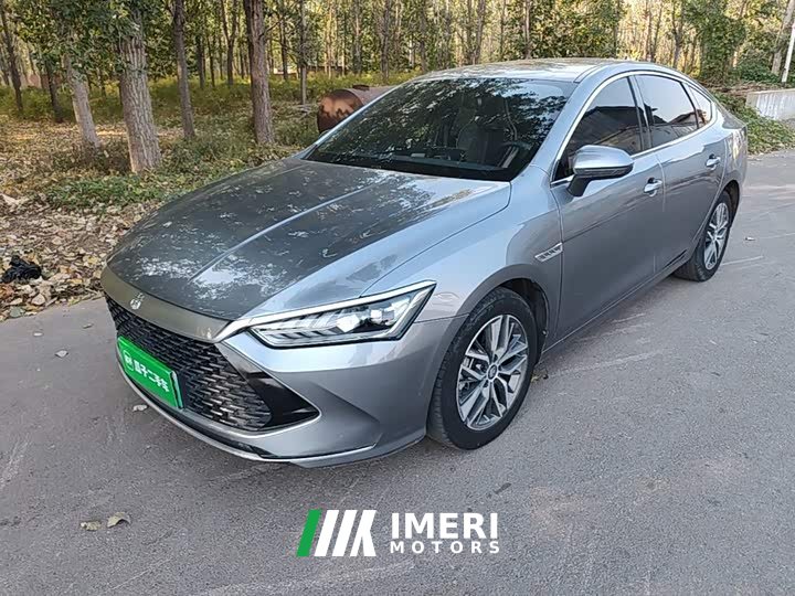 BYD Qin Plus DM-i 55KM Flagship