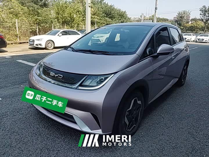 BYD Dolphin 405km Fashion Edition - ავტომობილი ჩინეთიდან