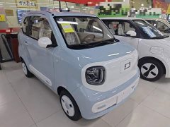 FAW Besturn Xiaoma 222km Cute Horse Plus - ფოტო 4