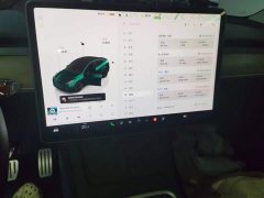 Tesla Model Y 2021 Performance All-Wheel Drive - ფოტო 13
