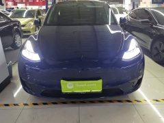 Tesla Model Y 2021 Performance All-Wheel Drive - ფოტო 3