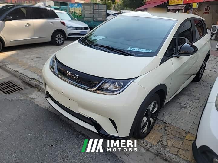 BYD Dolphin 2025 420km Freedom Edition - ავტომობილი ჩინეთიდან