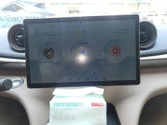 BYD Dolphin 2025 420km Freedom Edition - ფოტო 13