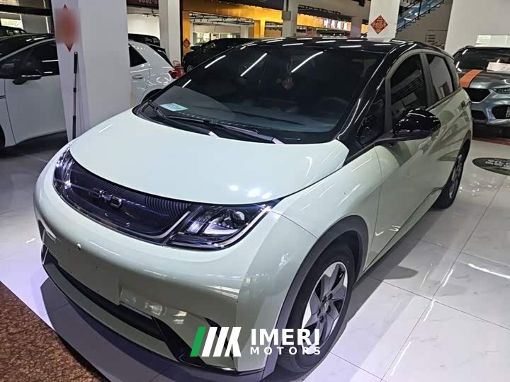 BYD Dolphin Glory Edition 420km Freedom Version - ავტომობილი ჩინეთიდან