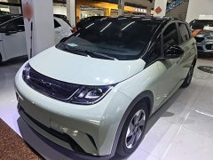 BYD Dolphin Glory Edition 420km Freedom Version - ფოტო 1