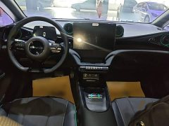 BYD Dolphin Glory Edition 420km Freedom Version - ფოტო 10
