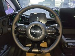 BYD Dolphin Glory Edition 420km Freedom Version - ფოტო 11