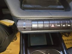 BYD Dolphin Glory Edition 420km Freedom Version - ფოტო 14