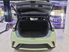 BYD Dolphin Glory Edition 420km Freedom Version - ფოტო 19