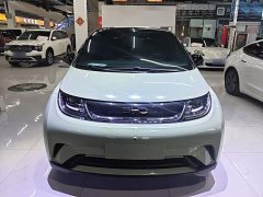 BYD Dolphin Glory Edition 420km Freedom Version - ფოტო 3