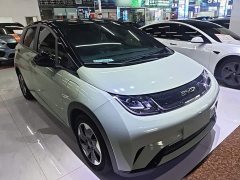 BYD Dolphin Glory Edition 420km Freedom Version - ფოტო 4