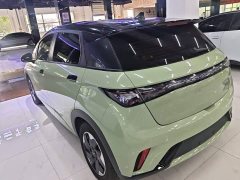 BYD Dolphin Glory Edition 420km Freedom Version - ფოტო 5