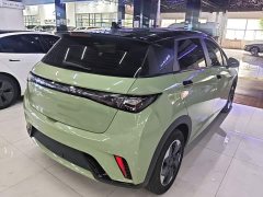 BYD Dolphin Glory Edition 420km Freedom Version - ფოტო 7