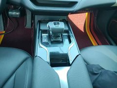 FAW Hongqi E-QM5 500km Travel Edition - ფოტო 14