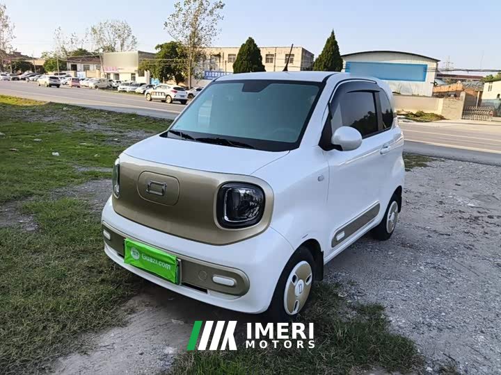 FAW Besturn Xiaoma 222km Dynamic Edition