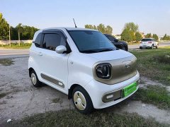 FAW Besturn Xiaoma 222km Dynamic Edition - ფოტო 4