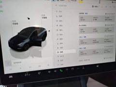 Tesla Model Y Rear-Wheel Drive - ფოტო 12