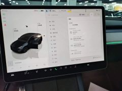 Tesla Model Y Rear-Wheel Drive - ფოტო 13