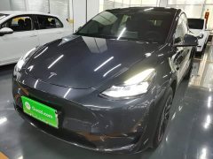 Tesla Model Y Rear-Wheel Drive - ფოტო 2