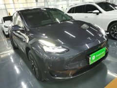 Tesla Model Y Rear-Wheel Drive - ფოტო 4
