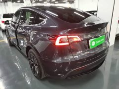 Tesla Model Y Rear-Wheel Drive - ფოტო 5
