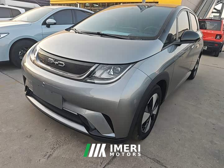 BYD Dolphin 420km Freedom Edition - ავტომობილი ჩინეთიდან