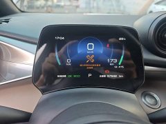 BYD Dolphin 420km Freedom Edition - ფოტო 12