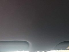 BYD Dolphin 420km Freedom Edition - ფოტო 18