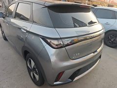 BYD Dolphin 420km Freedom Edition - ფოტო 5