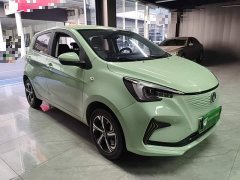 Changan Benben E-Star 2020 Joyful Edition Lithium Iron Phosphate (31.18kWh) - ფოტო 4