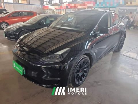 2021 Tesla Model Y Standard Range RWD - ავტომობილი ჩინეთიდან