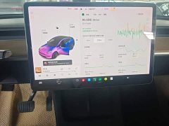 Tesla Model Y Standard Range RWD - ფოტო 13