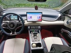 BYD Yuan Plus 430KM Premium Edition - ფოტო 10
