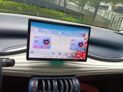 BYD Yuan Plus 430KM Premium Edition - ფოტო 13