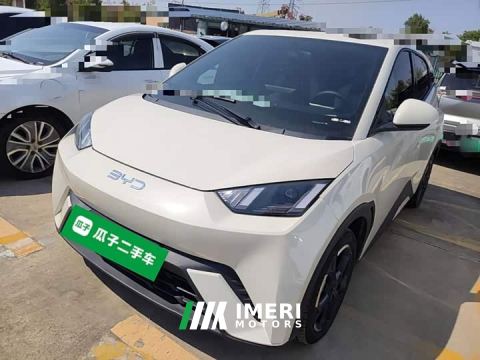 2024 BYD Seagull Glory Edition 405km Flying Edition