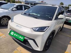 BYD Seagull Glory Edition 405km Flying Edition - ფოტო 2