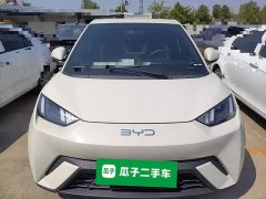 BYD Seagull Glory Edition 405km Flying Edition - ფოტო 3